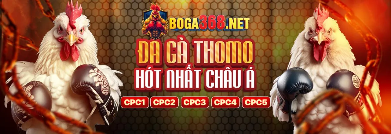 Chính sách Cookie 22bet win