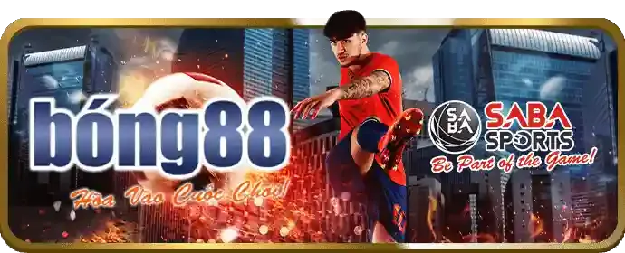 Biểu đồ và các tùy chọn cá cược thể thao khác nhau trên nền tảng 22bet win